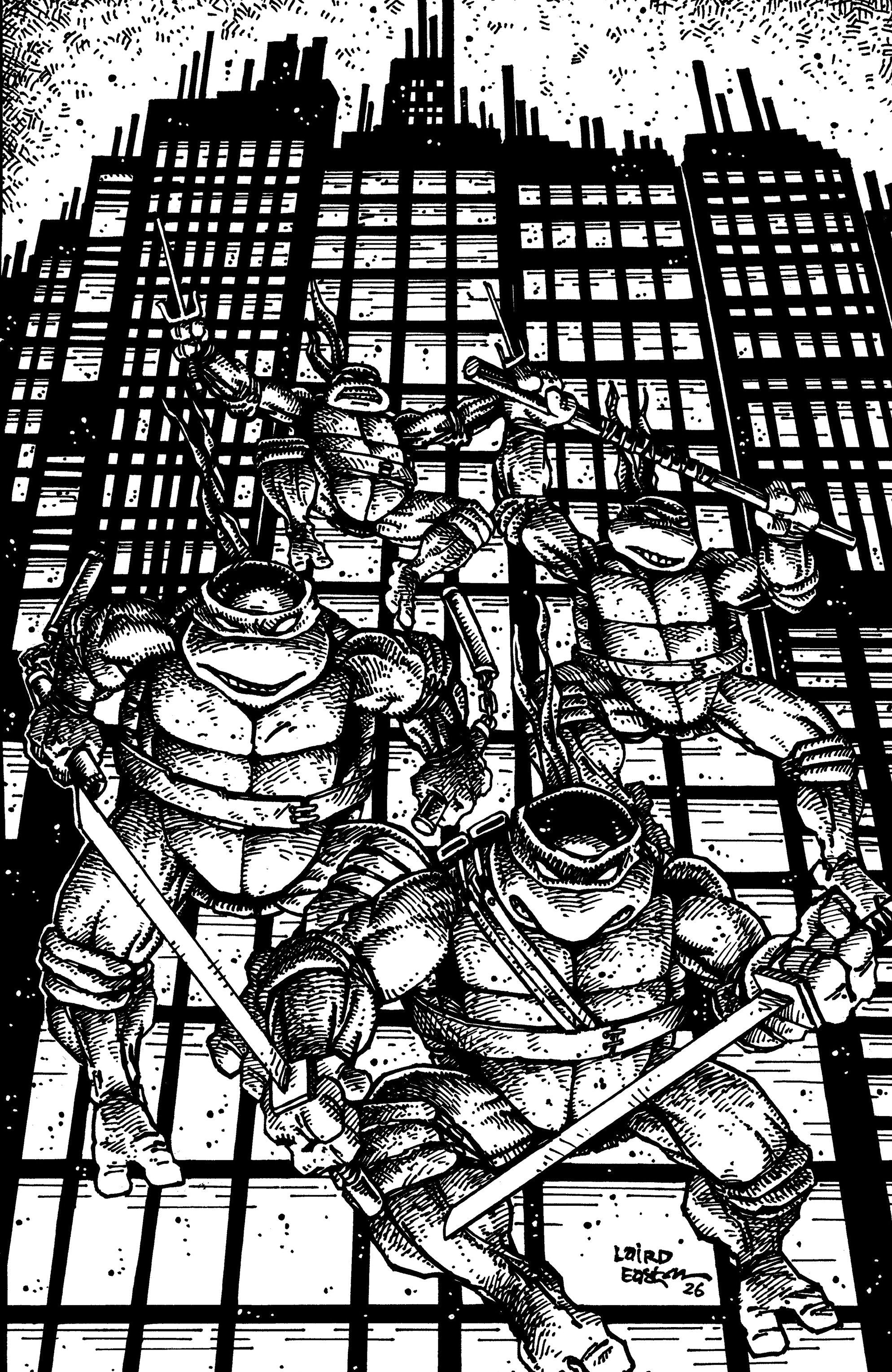 Teenage Mutant Ninja Turtles v.06 #20H (1:25)