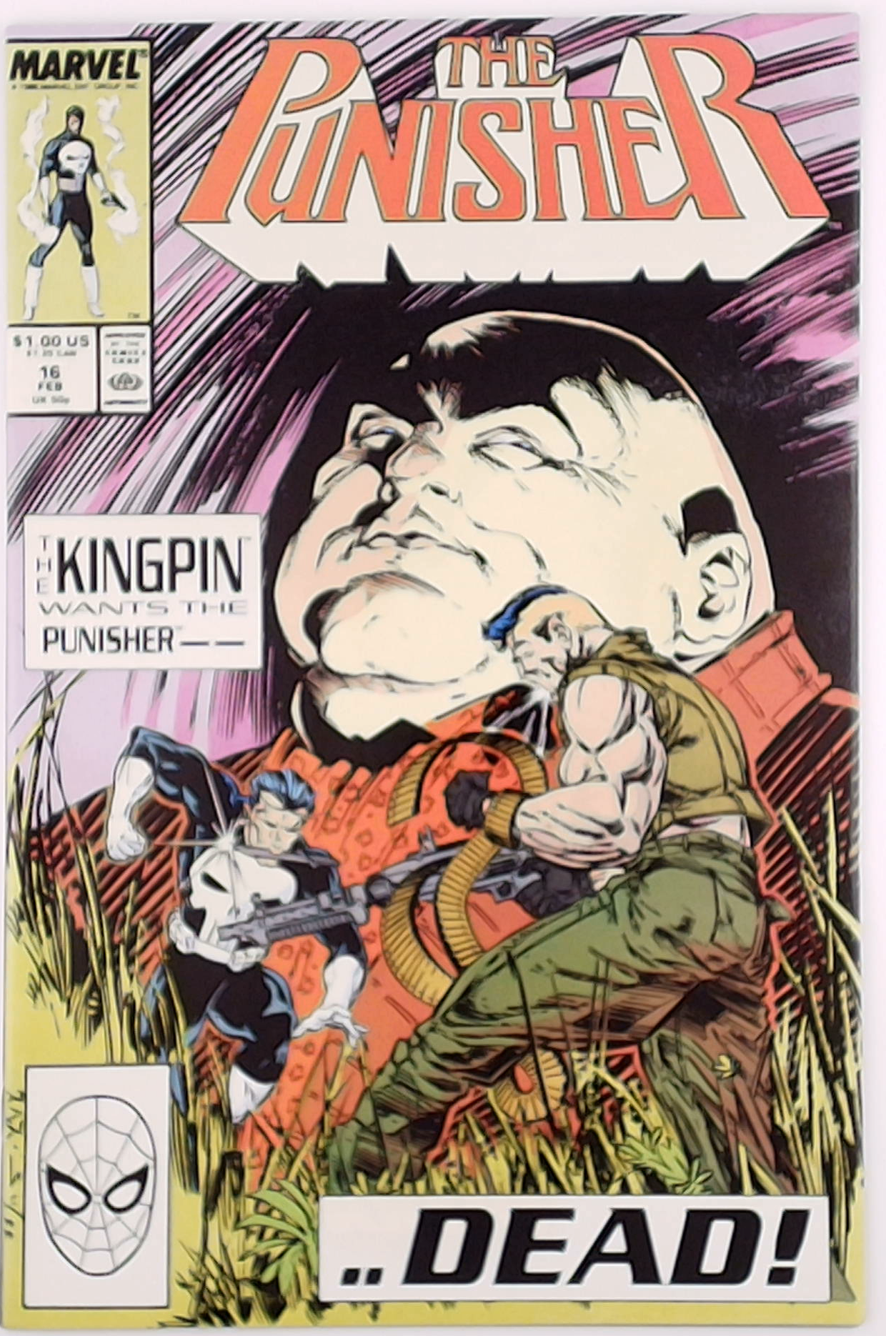 The Punisher v.2 #16