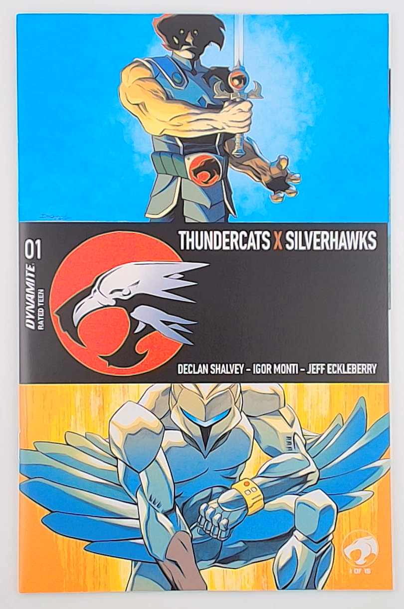 Thundercats X Silverhawks #1A