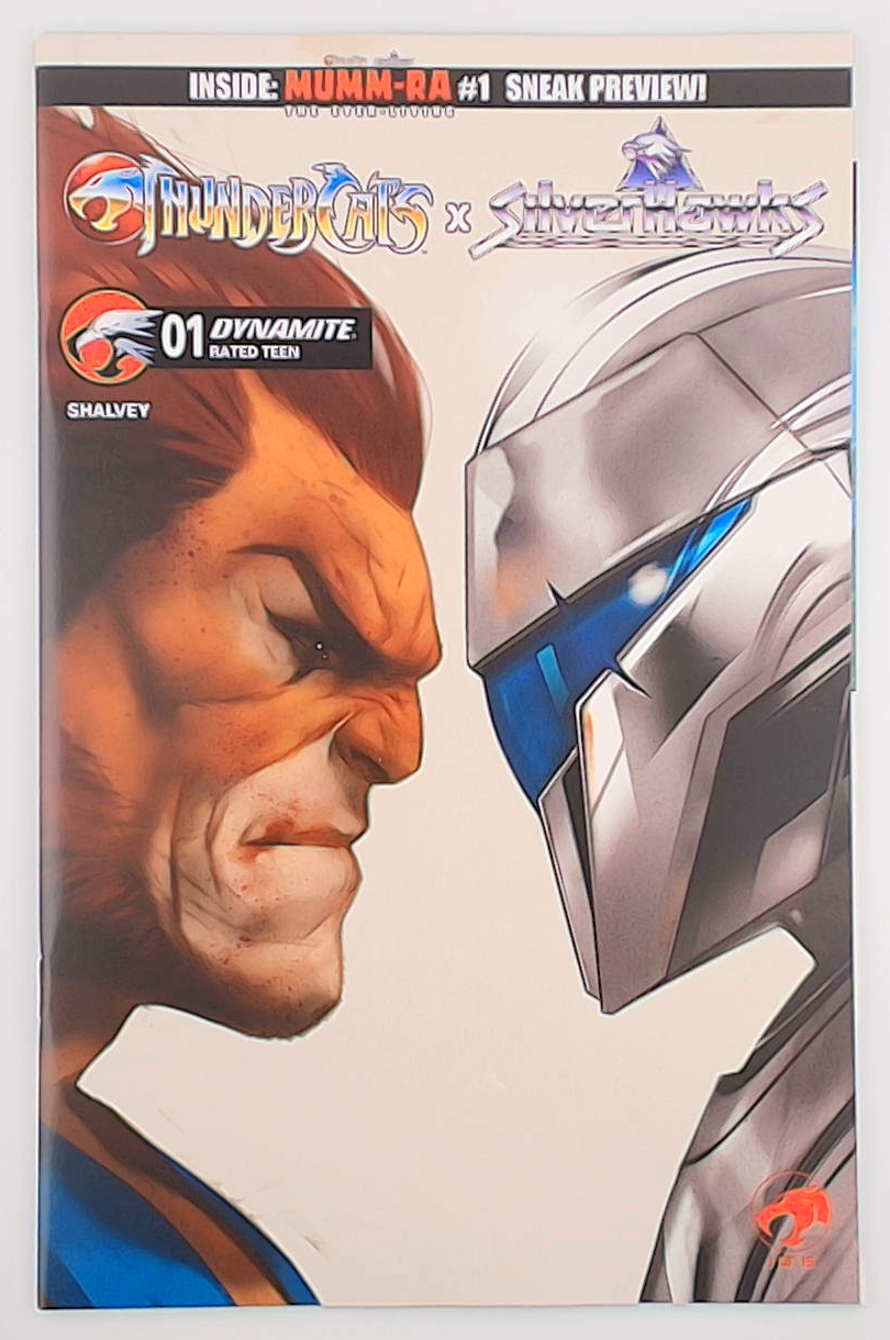 Thundercats X Silverhawks #1D