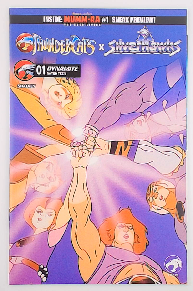 Thundercats X Silverhawks #1E