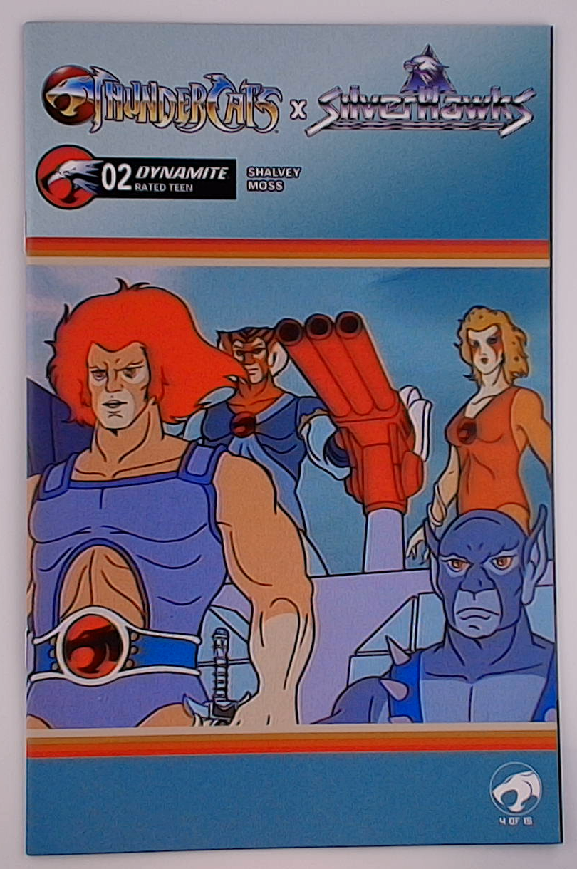 Thundercats X Silverhawks #2E