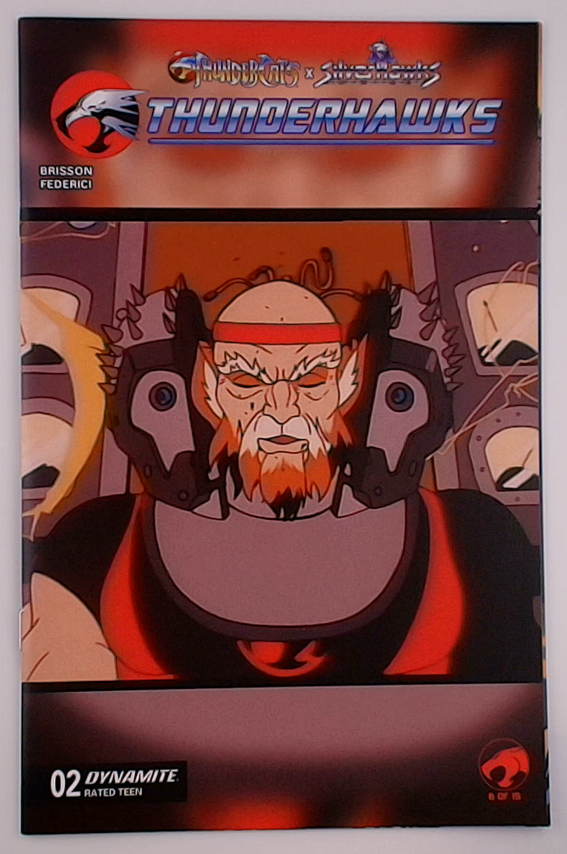Thundercats X Silverhawks: ThunderHawks #2E