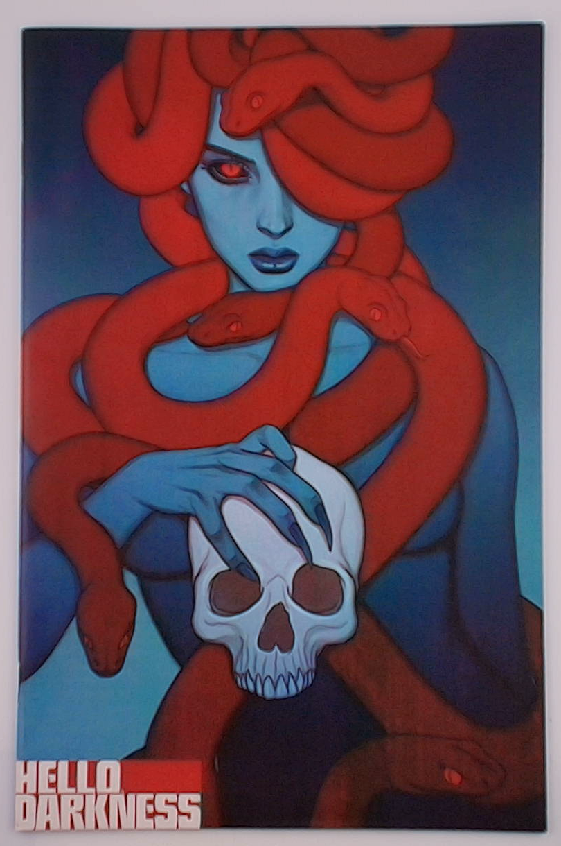 Hello Darkness #22B Jenny Frison