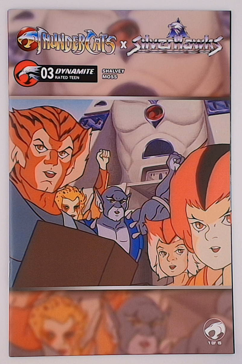 Thundercats X Silverhawks #3E