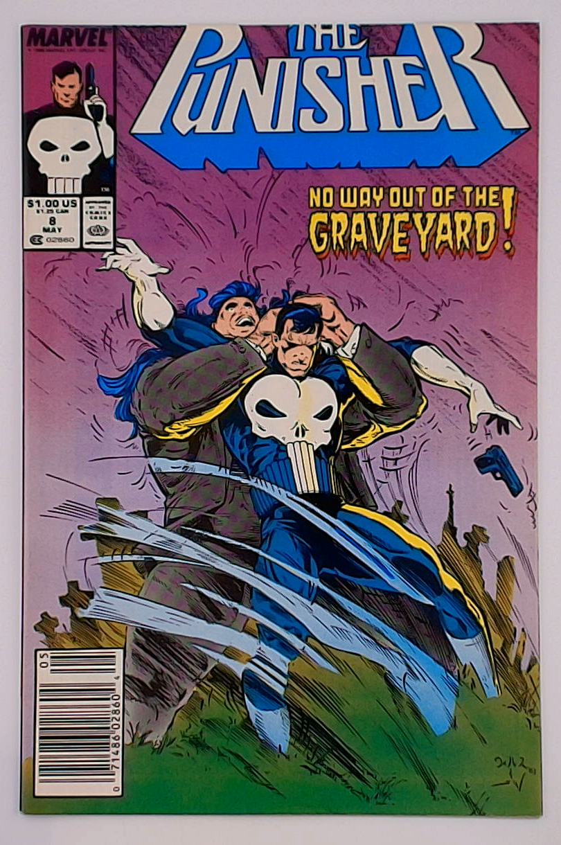 Punisher v.02 #8B Newsstand
