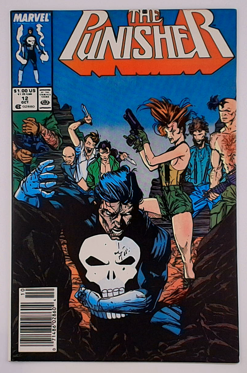 Punisher v.02 #12B Newsstand