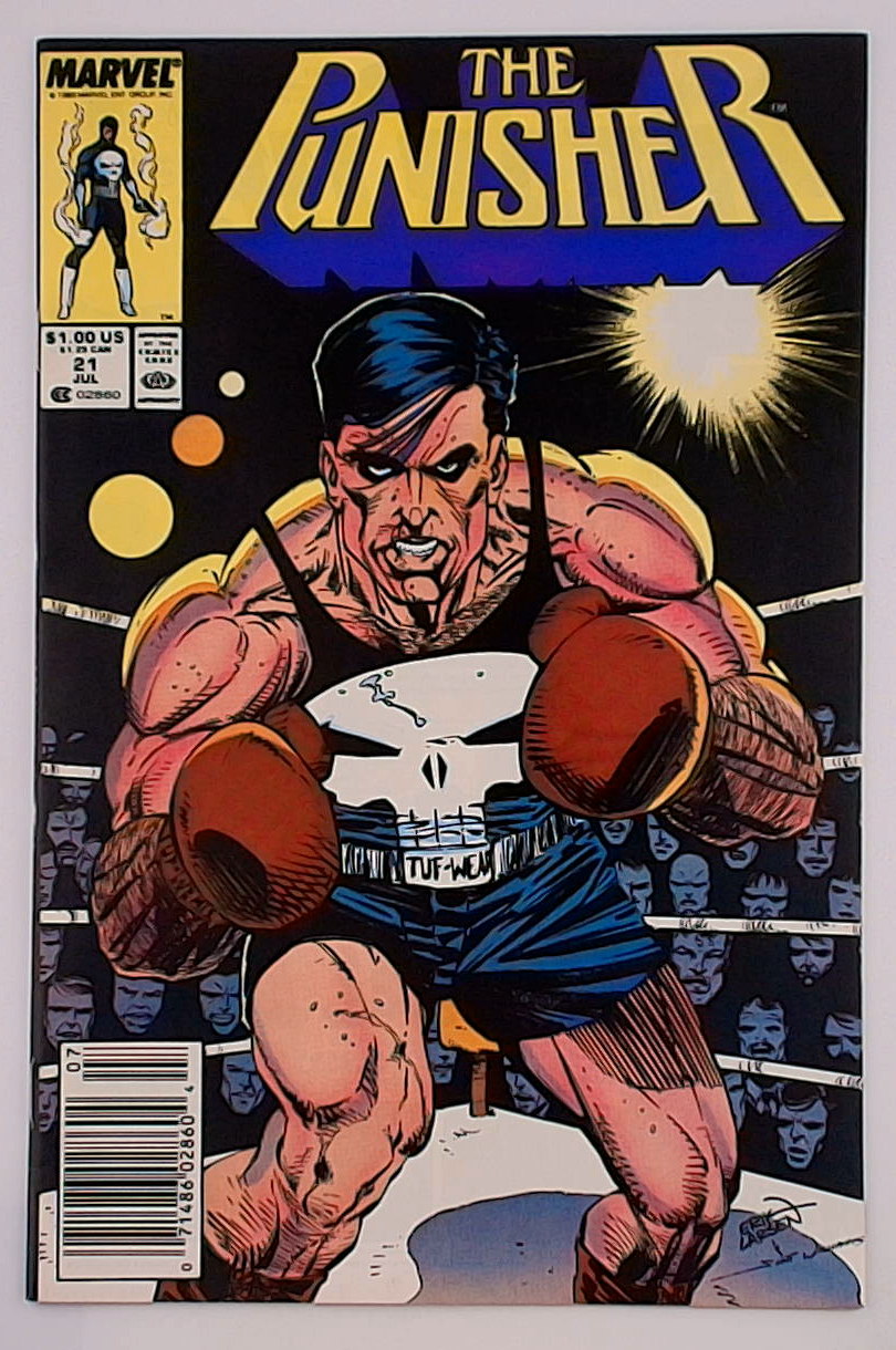Punisher v.02 #21B Newsstand