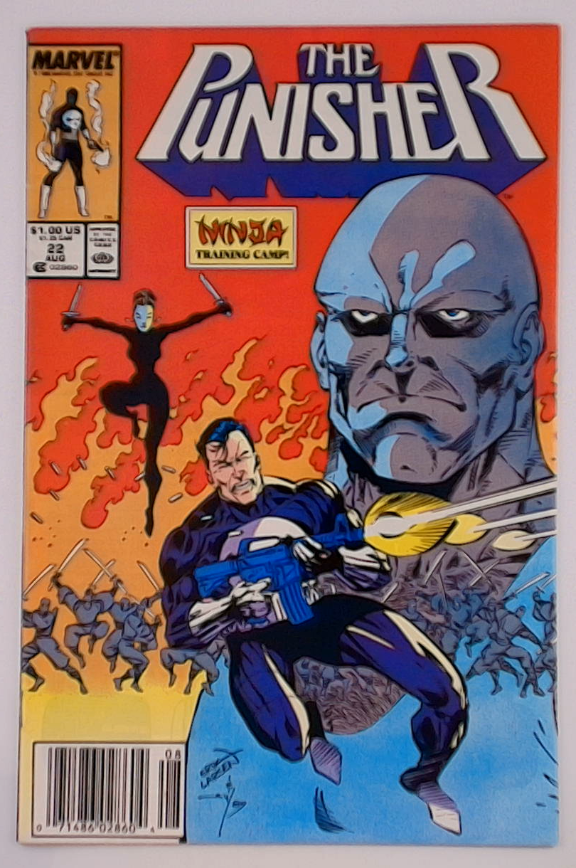 Punisher v.02 #22B Newsstand