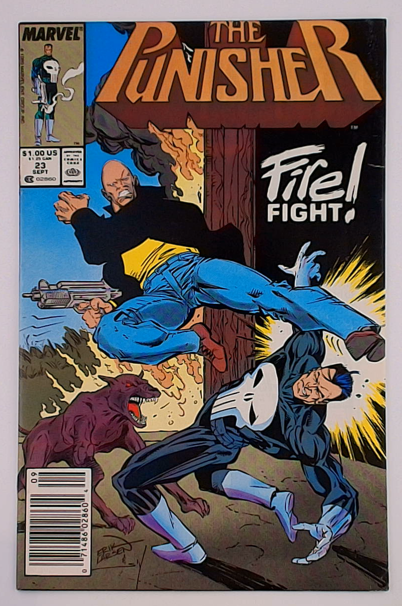 Punisher v.02 #23B Newsstand