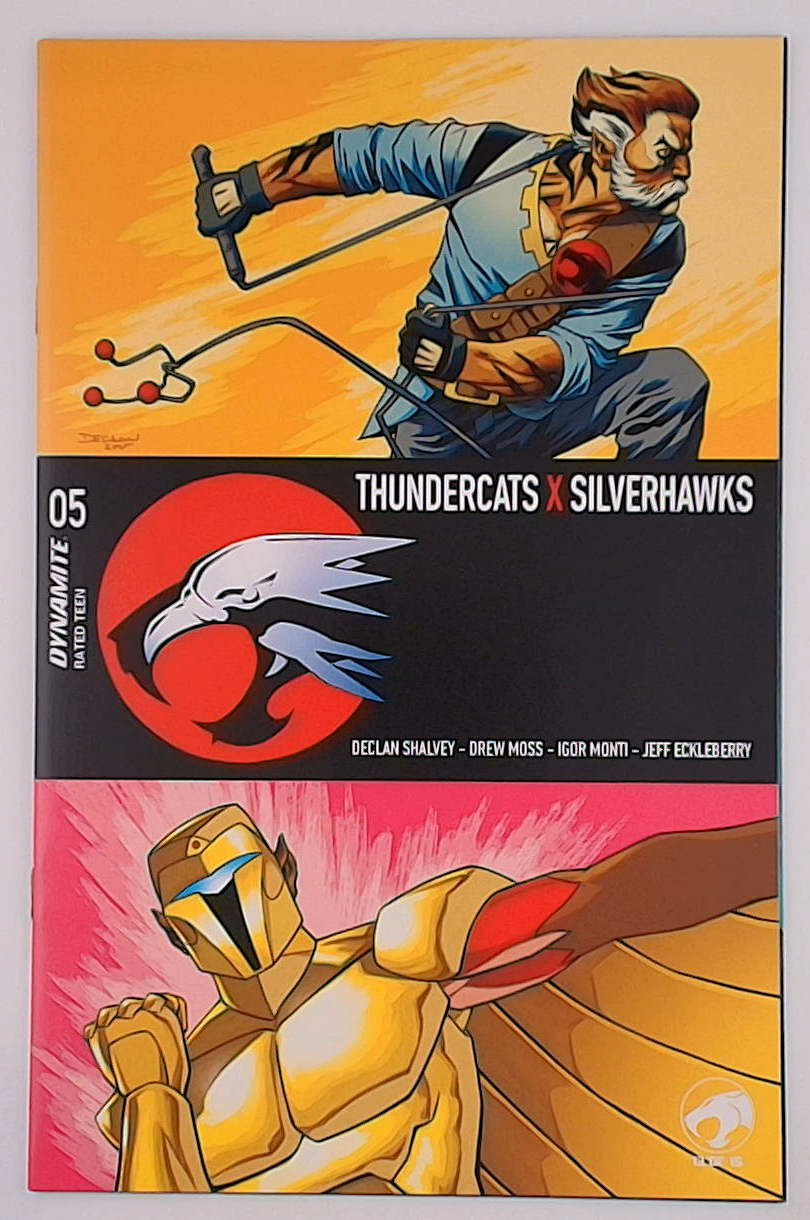Thundercats X Silverhawks #5A