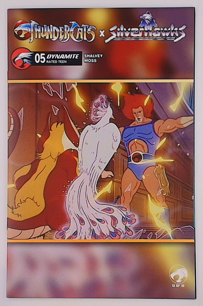 Thundercats X Silverhawks #5E Animation